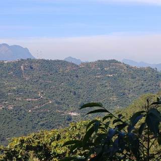 Guatemala 200 g