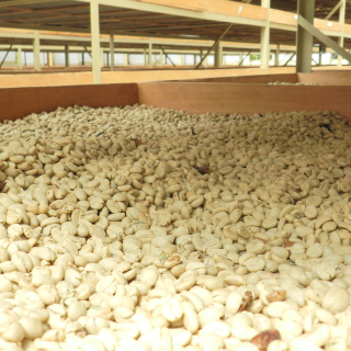 Guatemala 200 g