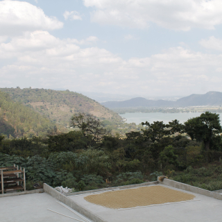 Guatemala 200 g
