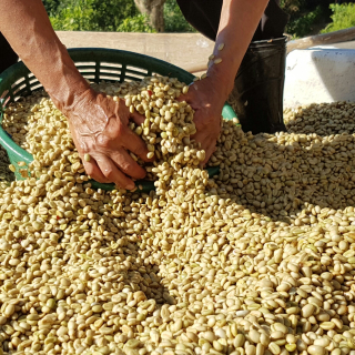 Guatemala 450 g