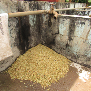 Kenya 450 g