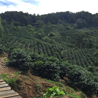 Nicaragua 200 g
