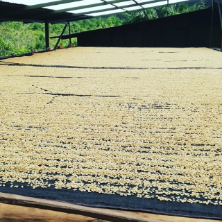 Peru 450 g
